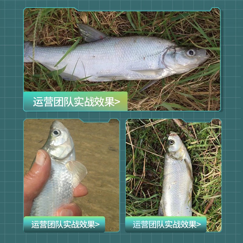 小银鱼沉水铅笔颤沉超远投路亚假饵缓沉微物淡水T海钓鳡鱼翘嘴通