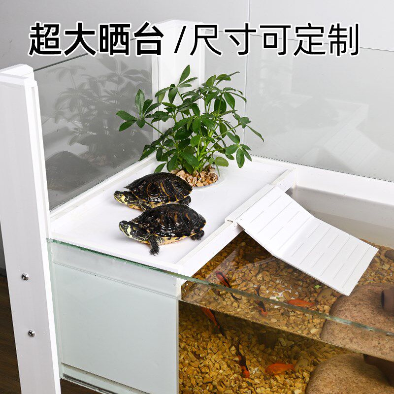 乌龟专用大晒台爬台深水龟爬坡休息平台高水N位躲避屋生态造景用