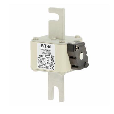 170M5262 170M5263 170M5264 170M5265 熔断器标准熔断器熔芯现货