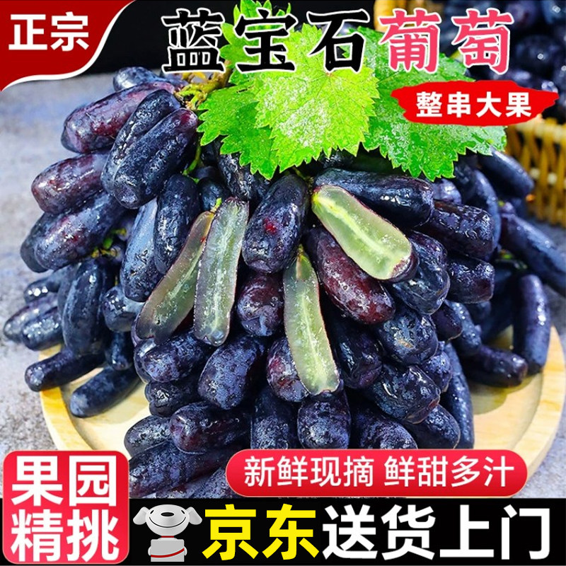 云南蓝宝石葡萄当季新鲜水果葡萄无籽黑提孕妇金手指黑提京东包邮