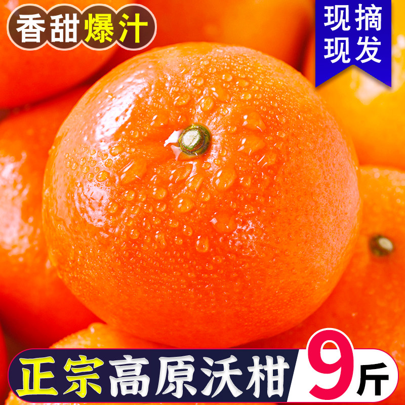云南高山沃柑新鲜水果当季10现摘斤沙糖蜜橘砂糖柑橘桔子橘子整箱,水产肉类/新鲜蔬果/熟食,桔子,淘宝优惠券,粉丝福利购,淘宝优惠卷