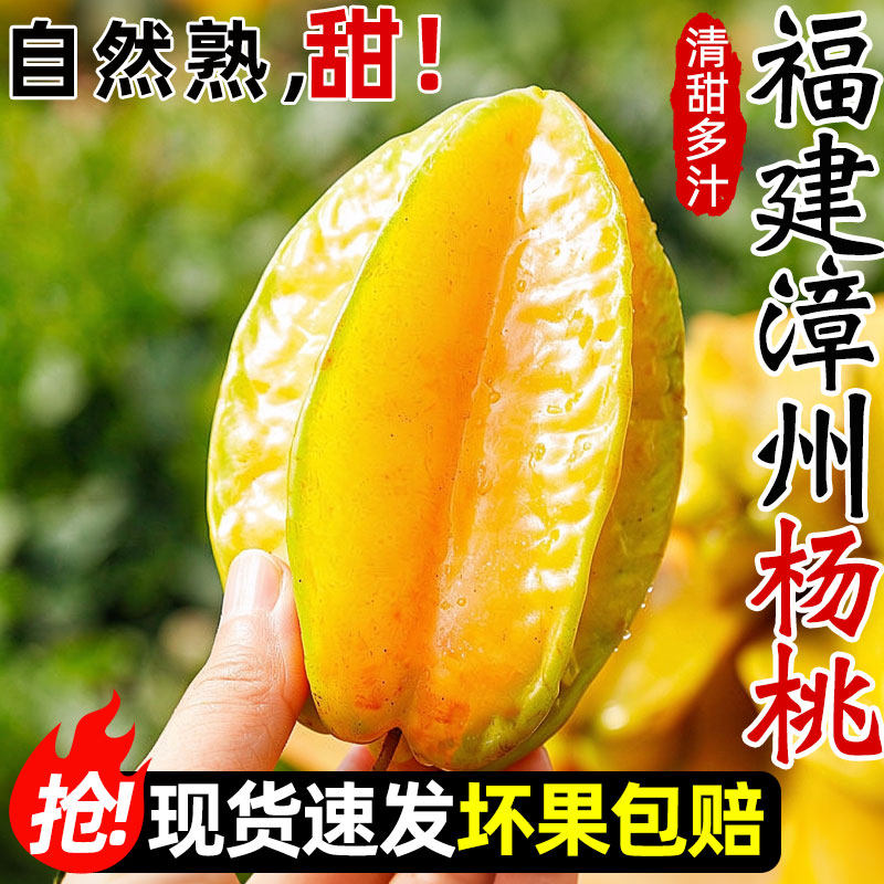 福建漳州甜杨桃新鲜水果洋桃鲜果五角星桃阳桃香甜孕妇整箱包邮
