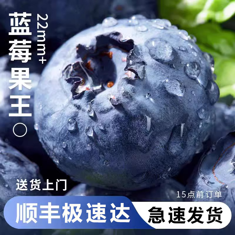 【顺丰】云南蓝莓大果新鲜水果酸甜口感孕妇水果高山新鲜大果整箱