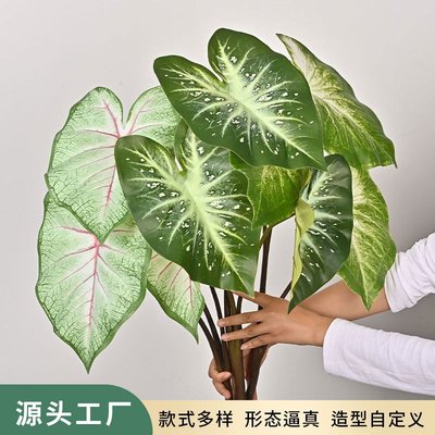 仿真绿植海芋叶室内家居装饰植物墙叶子厨窗造景把束软胶大彩芋叶