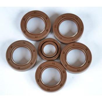 TC115*160*15,120*140*12/13/15,120*145*12氟胶耐高温骨架油封