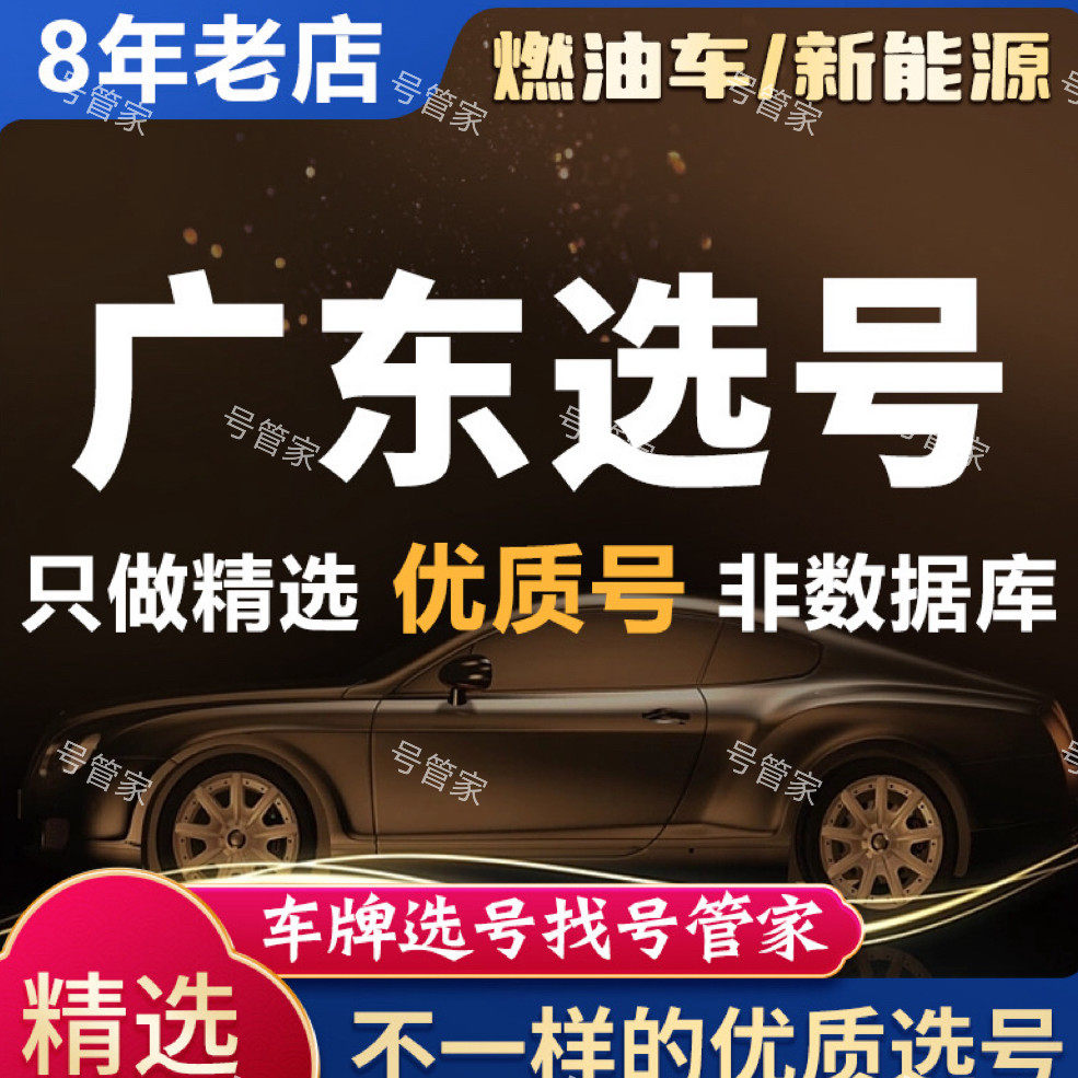 广州深圳车牌选号佛山东