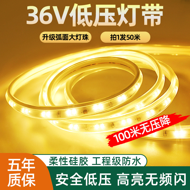 36v低压led灯带家用户外工程亮化隧道养殖场外墙装饰线性硅胶灯条