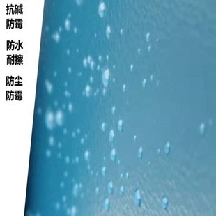 寸金罩光面漆高光保护油罩光清漆透明防尘面油水性罩光漆外墙面漆
