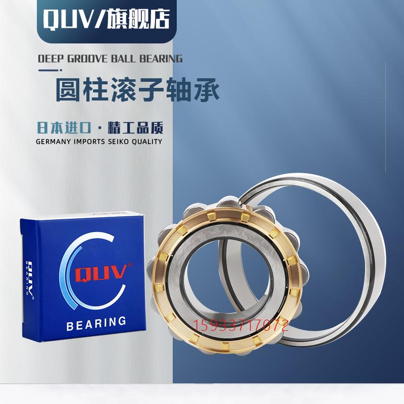 进口高速轴承N NU NJ 304 305 306 307 308 309 310 311 312E EM