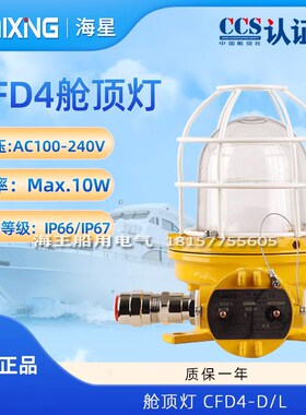 船用防爆白炽灯CFD4 铜质 IP66 螺口带CCS油漆间电屏间易燃用