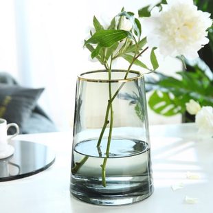 饰摆件水养鲜花插花花瓶 北欧轻奢风描金T形透明玻璃花瓶样板间装