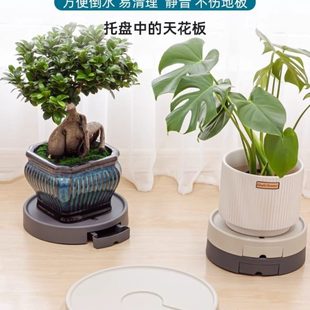 大号接水盘加厚隐形滑轮拖花盆托盘底座带滚轮移动万向轮花盘托盘