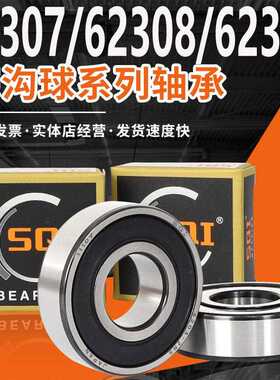SQI高速轴承大全 62307 62308 62309 62310 62311 62312 62313ZZ