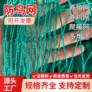 防鸟网果园养殖专用天网大棚尼龙网加密网鱼塘网爬藤网防护栏鸡网