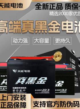 天能真黑金电池石墨烯72v35ah48v60v22a电动车电瓶t9黑金72伏35安