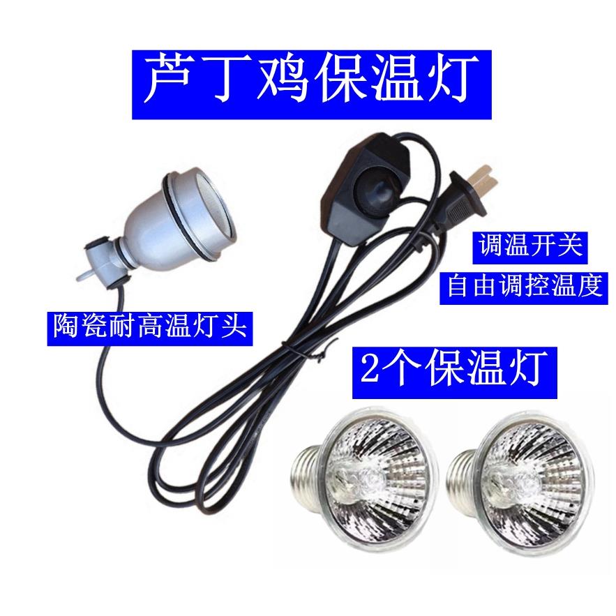 芦丁鸡爬宠保温灯鹌鹑保温箱取暖灯育雏小鸡专用取暖加热加温灯泡