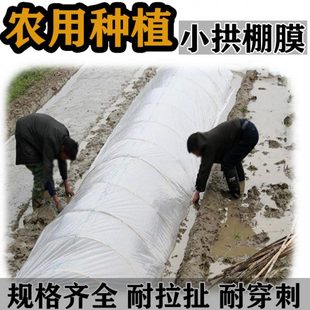 修防尘小拱棚膜防风防雨布家用花棚防寒保温大棚膜 透明塑料膜装