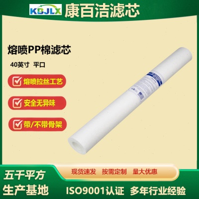 40寸pp棉聚丙烯熔喷滤芯保安精密过滤器化学品水处理电镀水处理