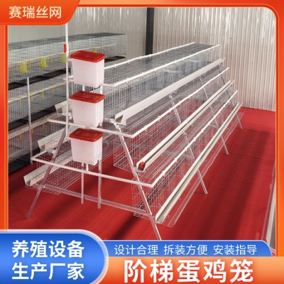 养殖场阶梯蛋鸡笼三层四层阶梯式蛋鸡笼子鸡舍家用自动滚蛋养殖笼