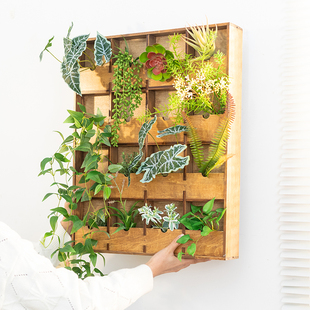 阿楹 高级日式绿植物入户迎门墙装饰挂件阳台布置电表箱墙洞遮挡