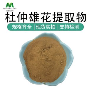 杜仲雄花粉 水溶性杜仲雄花提取物 厂家现货量大从优 杜仲雄花