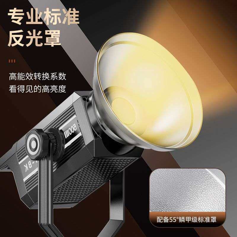 嘉维300W新款摄影灯闪光灯影室摄影棚补光灯打光灯珠宝拍照摄影灯