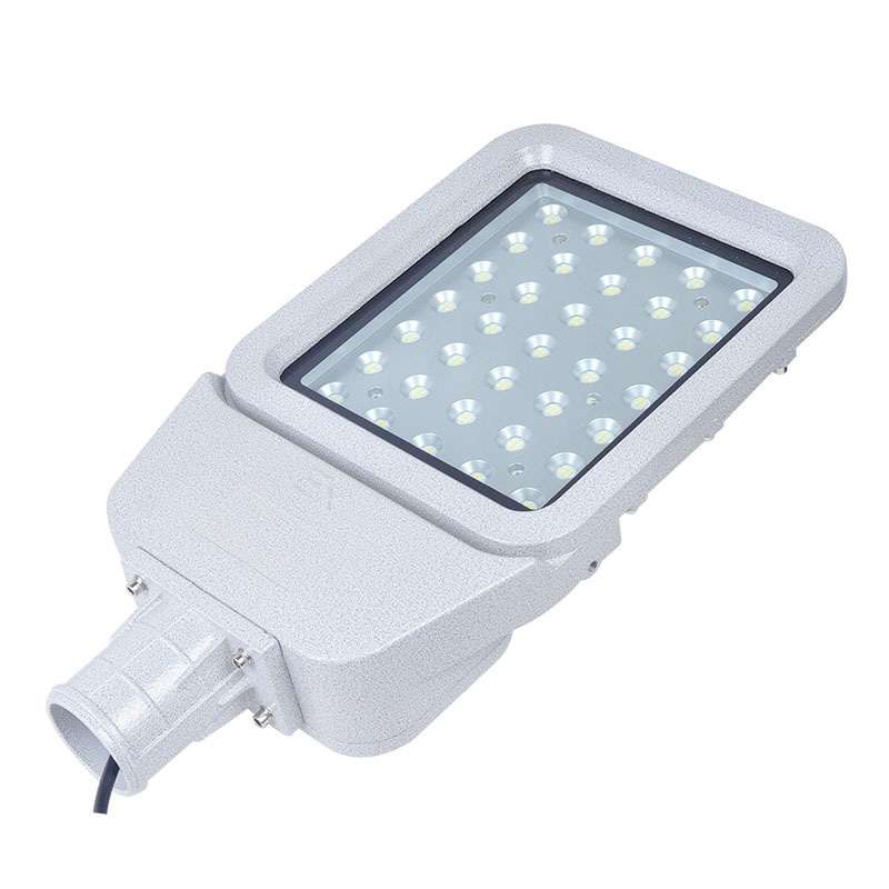 LED防爆路灯SLD6100 50/300W防爆马路灯泛光灯探照防爆照明灯220v