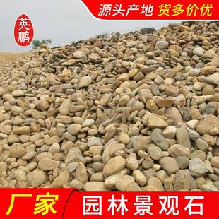 天然鹅卵石园林景观道路铺装用鹅暖石海南整车直发