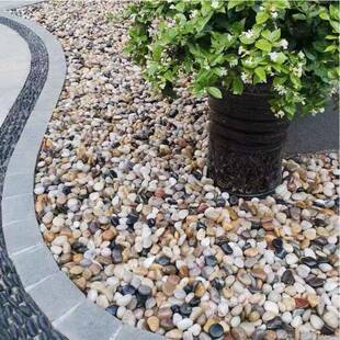 黑色雨花石庭院造景黑色抛光鹅卵石园林景观工程铺路五彩雨花石