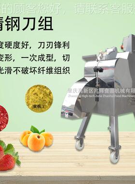 厂家自三动高速维切丁机 蔬切PYR丁切粒机器 果菠萝火龙果银耳切