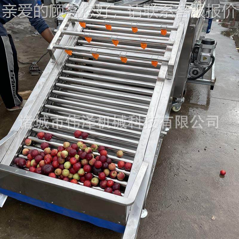 水蔬菜气泡清洗机 中药 材喷淋NRH加式清果洗机净菜工果蔬气泡清