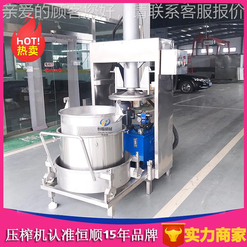 油浸大蒜蒜油提过滤机黑咖HS-300L啡 渣挤提纯取榨汁机 番木瓜酒