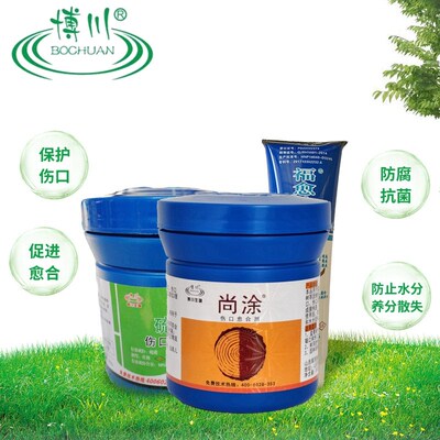 博川尚涂博涂非糊涂金弹子大树盆景果树锯口流胶病伤口愈合涂抹剂
