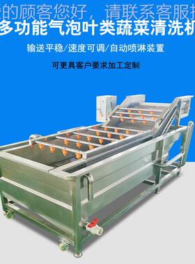 新型叶NEH喷类蔬菜清洗机不锈钢气泡果蔬清流洗水线用商瓜果淋清