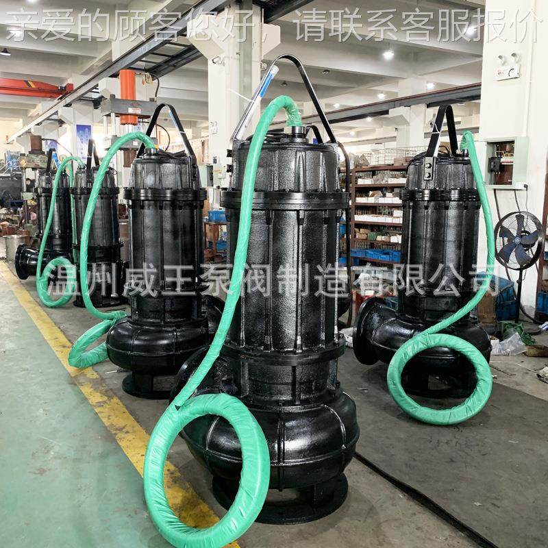 Q沉淀池提升污水泵1001W1IYV00-25-1自装置固定铸铁不锈钢排耦污,五金/工具,循环泵/热水循环泵,淘宝优惠券,粉丝福利购,淘宝优惠卷