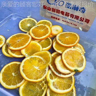 城运皮苹削果切片机 红橙菠萝异果KRG定向切奇圆片机搭配削皮去核