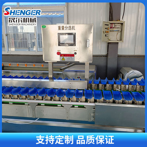 海蛎子全自动重量分选机白条鸡爪鸭翅选别机海产品称重分选一体机