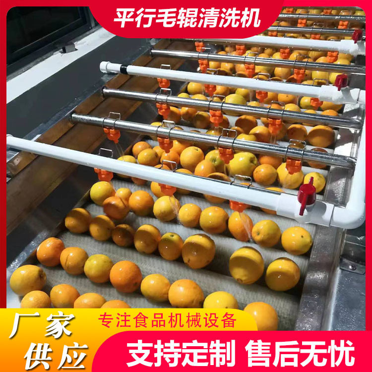 工厂用水果毛刷清洗机设备燕窝果毛辊清洗机麒麟果毛刷清洗风干线,清洗/食品/商业设备,洗果机/洗菜机,淘宝优惠券,粉丝福利购,淘宝优惠卷