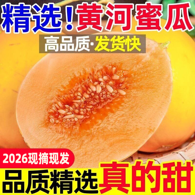 民勤黄金甜瓜黄河蜜瓜网纹哈蜜瓜沙漠应季新鲜水果冰淇淋香瓜密瓜