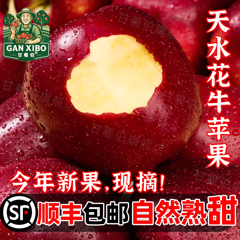 顺丰正宗甘肃天水花牛苹果蛇红果小孩老人面粉脆沙甜苹果新鲜水果