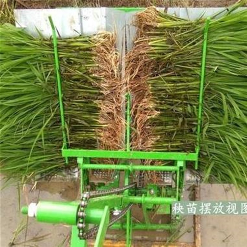 稻谷同步农机具手摇式插秧机耕田平整L好用新式田地水稻电动