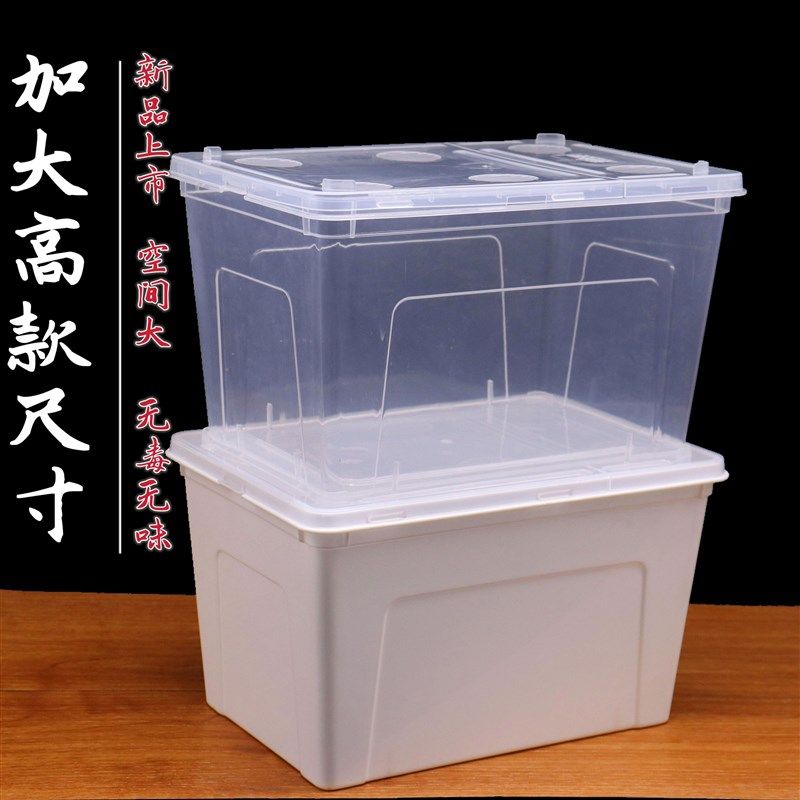 爬宠饲养盒守宫蛇饲养箱带盖蚕宝宝角蛙宠物用品蜘蛛昆虫龟缸鱼缸,宠物/宠物食品及用品,桌面缸,淘宝优惠券,粉丝福利购,淘宝优惠卷