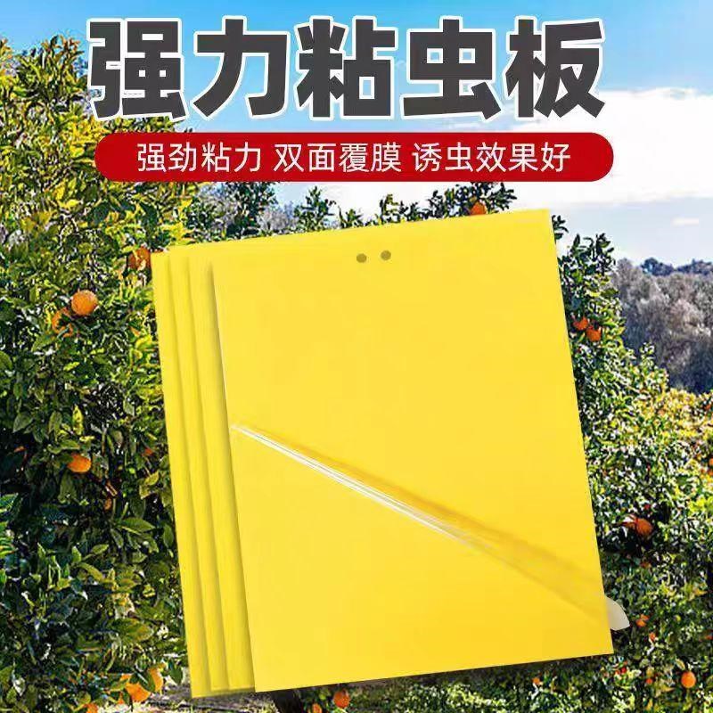 粘虫板大棚黄板双面小黑飞果蝇诱捕器诱虫板贴纸农用家用飞虫小飞