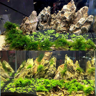 松皮石造景大块多孔天然假山石头青龙石骨架原生缸草鱼缸造景套餐