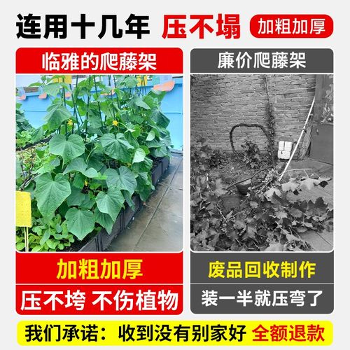 黄瓜爬藤架子豆角架杆种菜蔬菜搭棚子支架花架植物支撑杆包塑钢管