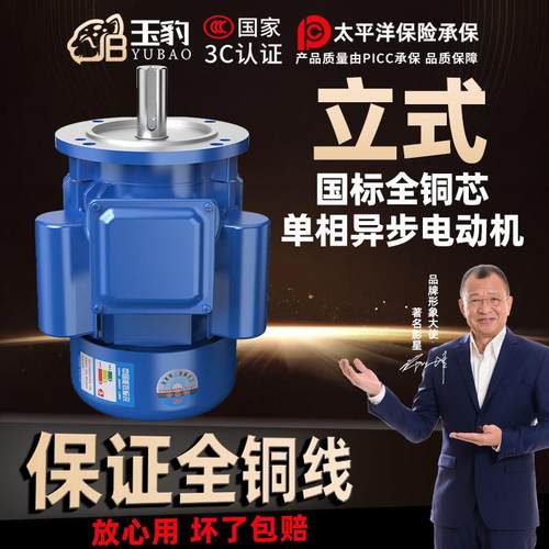 立式单相电机220V纯铜线 线小型两相1.1/1.5/2.2/3KW高速异步马达