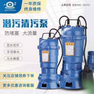 污水泵潜水泵家用排污泵泥浆泵380 大元 220V单相化粪池无堵塞2寸