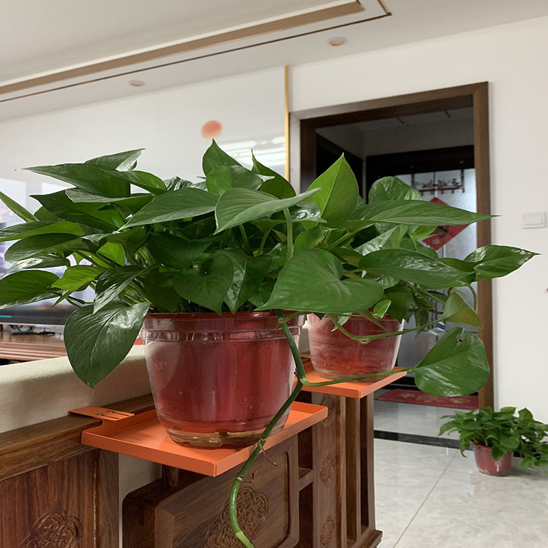 花架铁艺简约吊兰绿m萝多肉花盆架办公屏风护栏隔板悬挂钩架子包