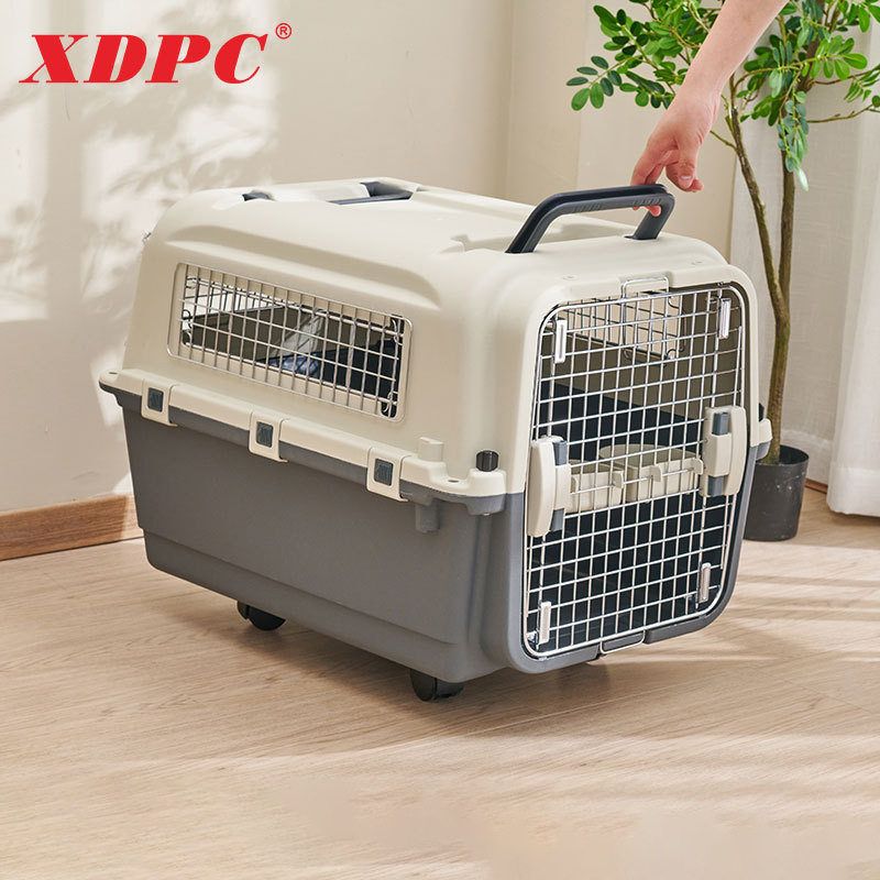 铁窗XDPC狗狗鑫国航托运鼎宠物猫