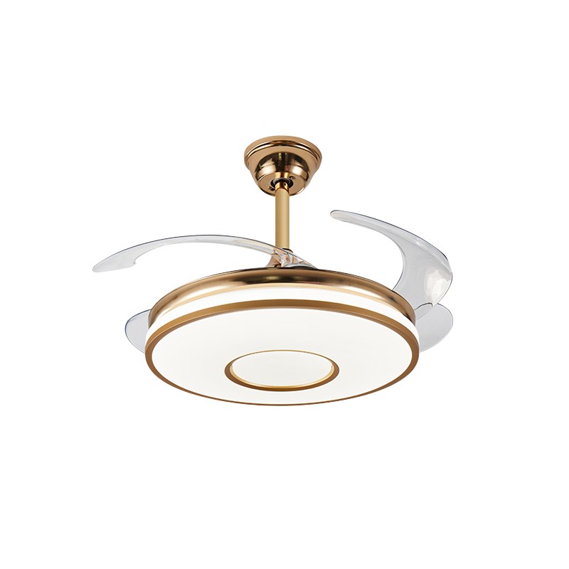 隐形风扇灯2024新款吊扇灯x吸顶家用客厅餐厅卧室欧式带电扇灯吊